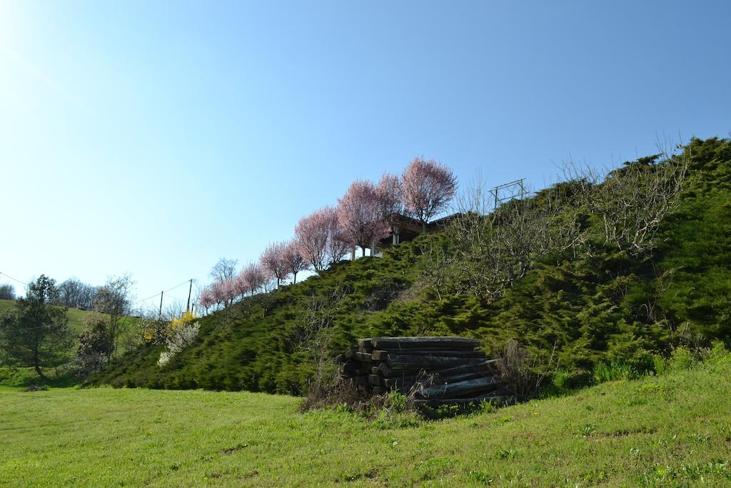 La Locanda Di Valbella Asti Exteriér fotografie