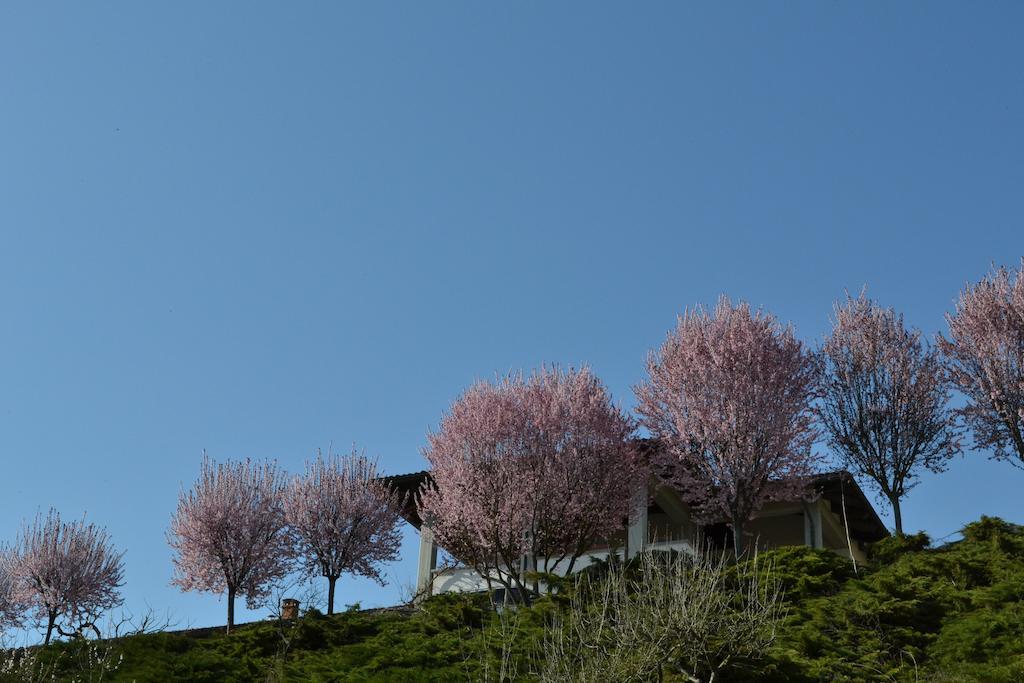 La Locanda Di Valbella Asti Exteriér fotografie